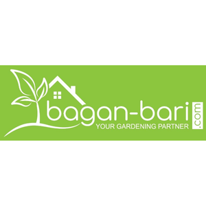 Bagan Bari